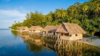 Penginapan Terbaik di Raja Ampat untuk Liburan Santai dengan Pemandangan Menakjubkan